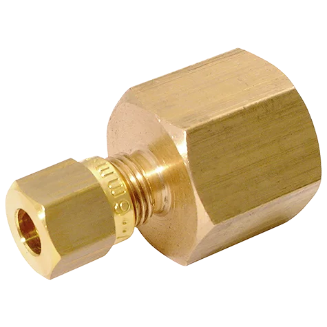 06MM OD X 1/4 BSPP FEM PRESSURE GAUGE