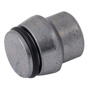 OD BLANKING PLUG (S)