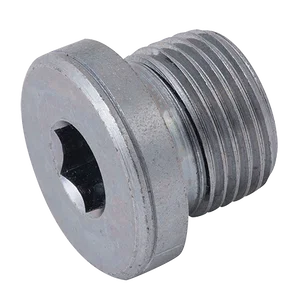 BSPP MALE BLANKING PLUG & SEAL