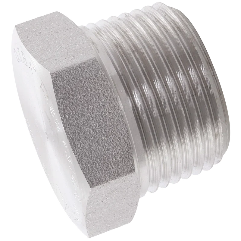 2 BSPT HEX PLUG 6K 316/L