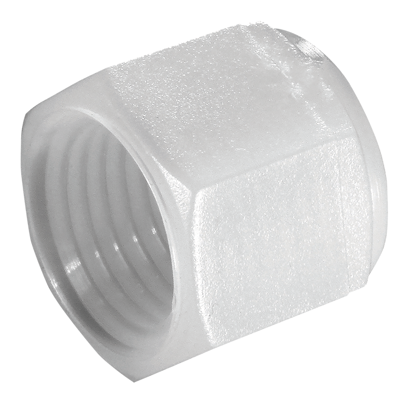 BSPT FEMALE BLANKING CAP PVDF
