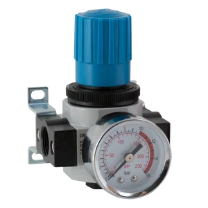 BSPP FLOW RATE