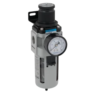 BSP FEM FILTER/REG  FLOW RATE
