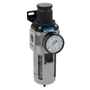BSP FEM FILTER/REG  FLOW RATE