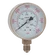 1/4inBSPP 63MM BOTTOM DRY GAUGE 0-6000PSI