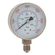 1/4inBSPP 63MM BOTTOM DRY GAUGE 0-6000PSI