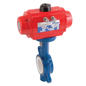 10 WAFER B/FLY VALVE CI/SS/PT SA