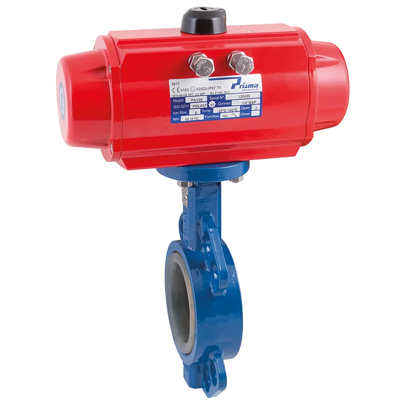 10 WAFER B/FLY VALVE CI/SS/SIL SA