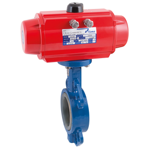 10 WAFER B/FLY VALVE CI/SS/SIL SA