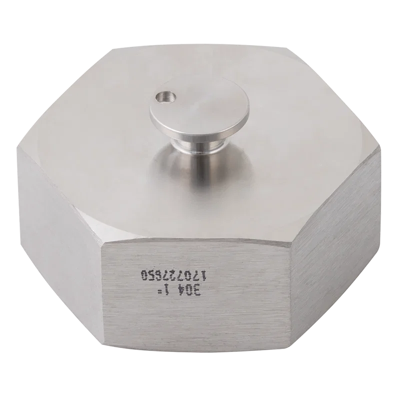 RJT HEX BLANKING NUT