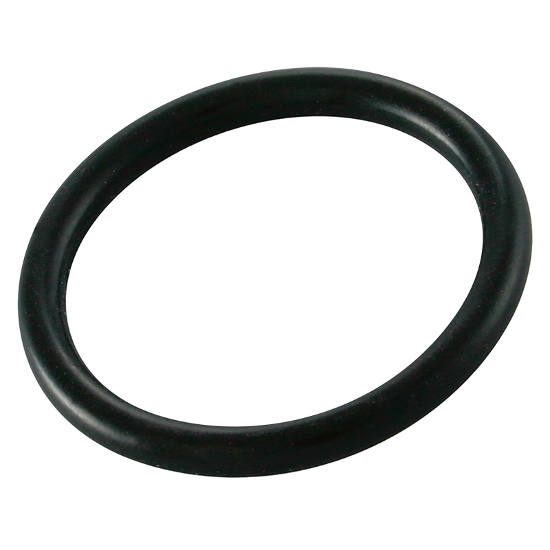 SER O-RING FOR FLANGE COUP