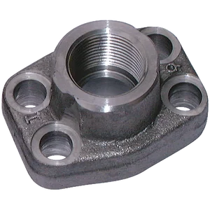 SAE FLANGE C/W BSPP