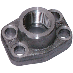 SAE FLANGE C/W BSPP