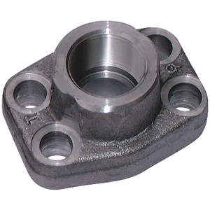 SOCKET WELD FLANGE