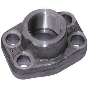 SOCKET WELD FLANGE