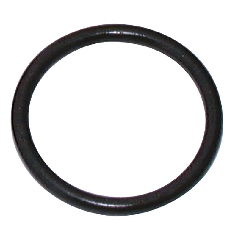 O RING FOR FLANGE
