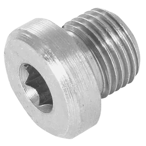 6050-SH BSP SOCKET HEAD PLUG WITHOUT SEAL