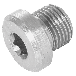 BSP SOCKET HEAD PLUG WITHOUT SEAL