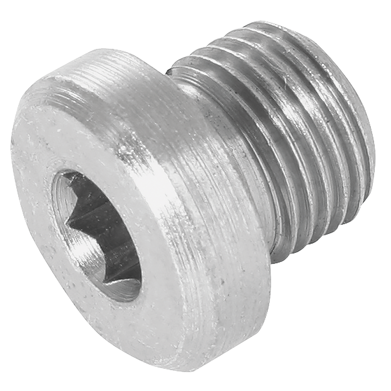 BSP SOCKET HEAD PLUG WITHOUT SEAL