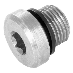 6050-SH-WD  BSP SOCKET HEAD PLUG WITH SEAL