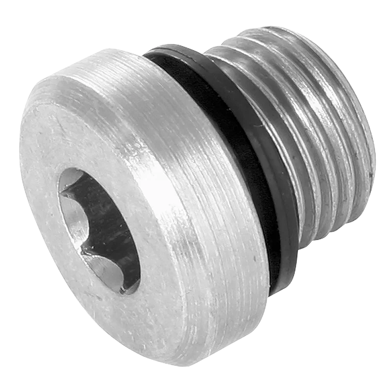 6050-SH-WD  BSP SOCKET HEAD PLUG WITH SEAL