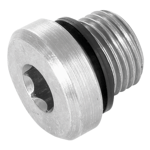 BSP SOCKET HEAD PLUG 3869 SEAL