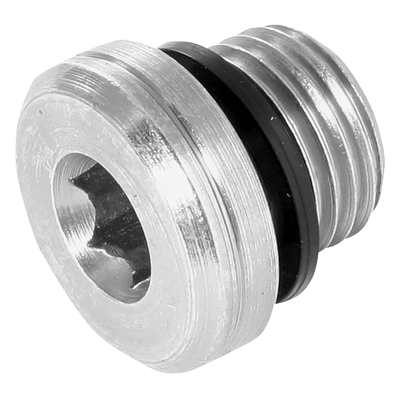 6011-SH-WD  SOCKET HEAD PLUG 3869 SEAL