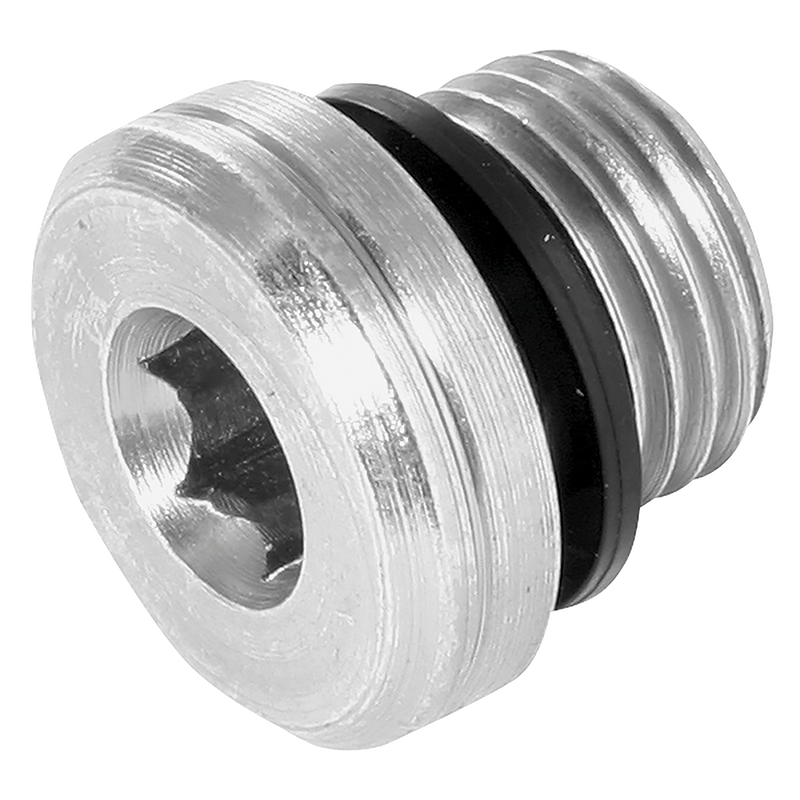 SOCKET HEAD PLUG 3869 SEAL