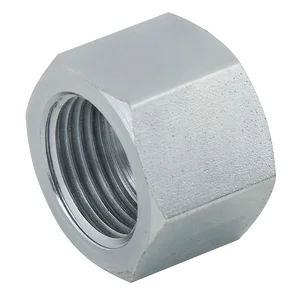7050-JIS JIS FEMALE BSP STEEL CAP