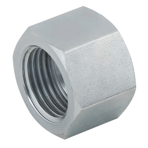 BSPP JIS FEMALE STEEL CAP