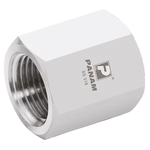 BSPP FEM HEX SOCKET 316S.S