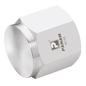 BSPP 6K PSI 316 CAP