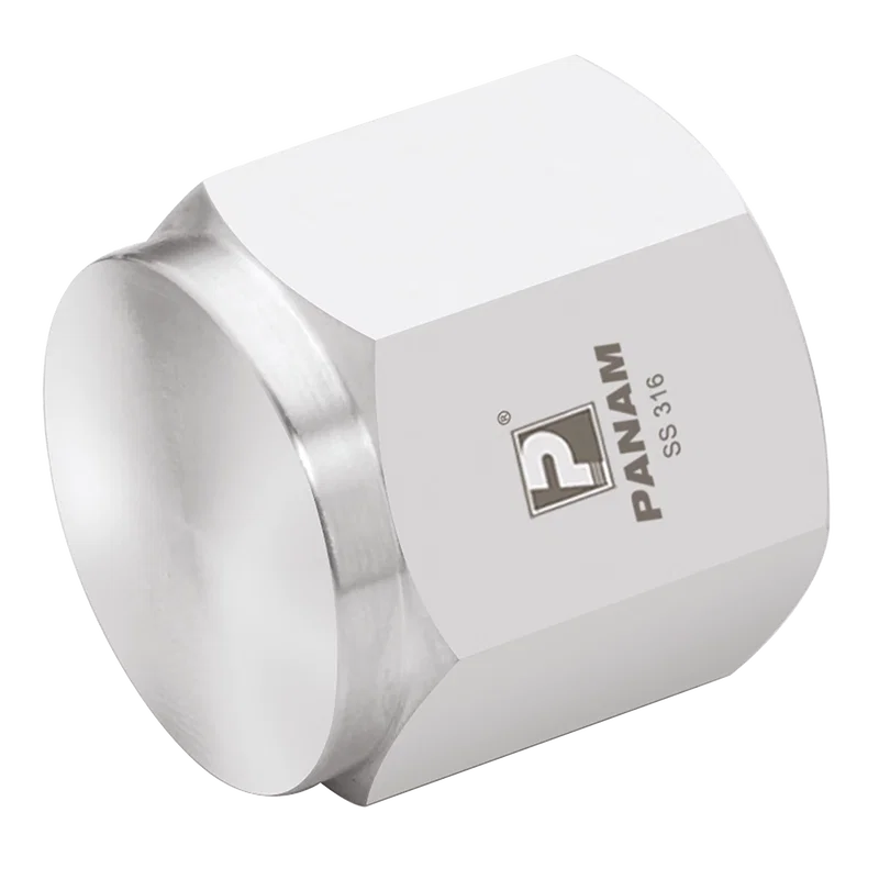 BSPP 6K PSI 316 CAP