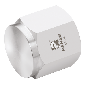 BSPP 6K PSI 316 CAP