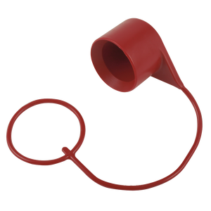 ISO 16028 F/F PLUG DUST CAP