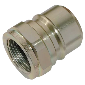 1   BSPP FEM  STEEL PLUG