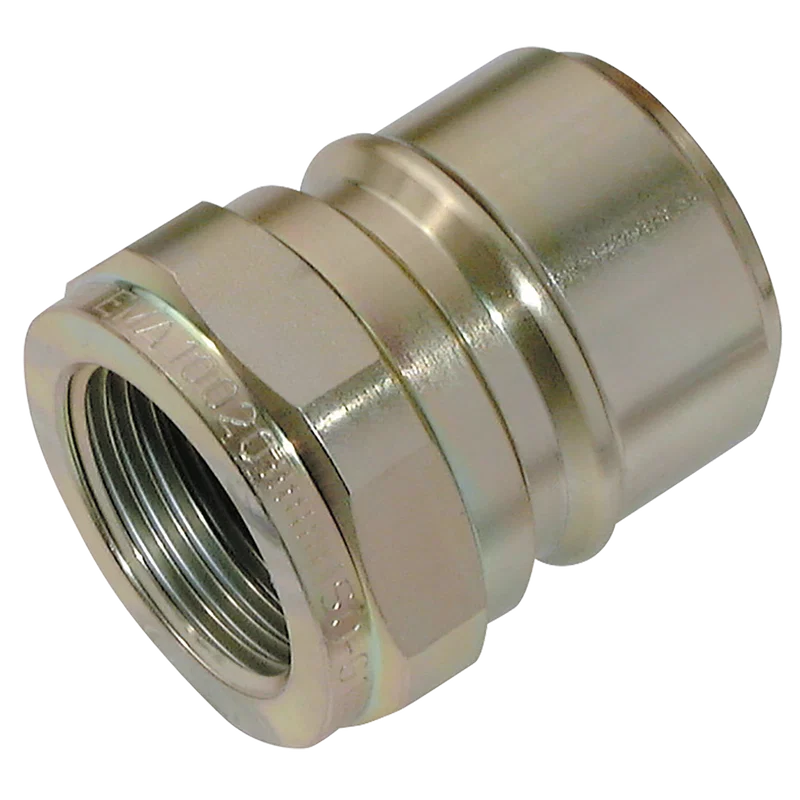1   BSPP FEM  STEEL PLUG