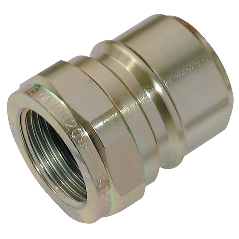 1   BSPP FEM  STEEL PLUG