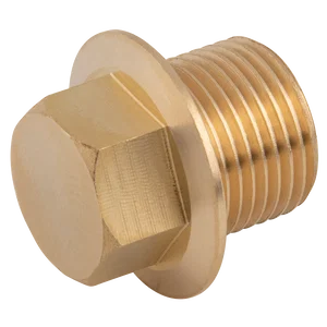BSPP FLANGED BRASS MALE PLUG