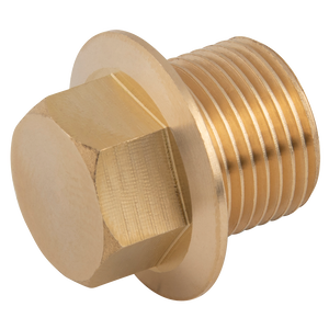 BSPP FLANGED BRASS MALE PLUG