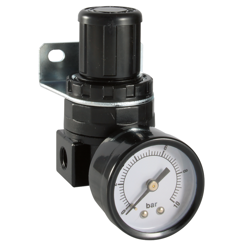 1/4 MINI REGULATOR