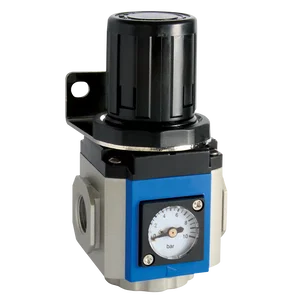 REGULATOR 300 SERIES GAUGE & BRKT