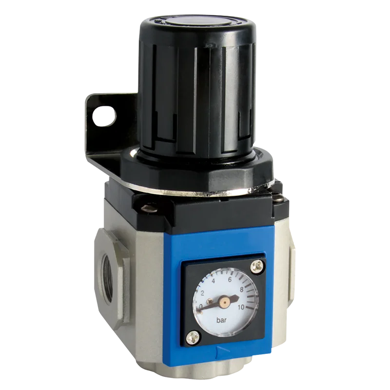 REGULATOR 300 SERIES GAUGE & BRKT
