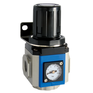 REGULATOR 300 SERIES GAUGE & BRKT