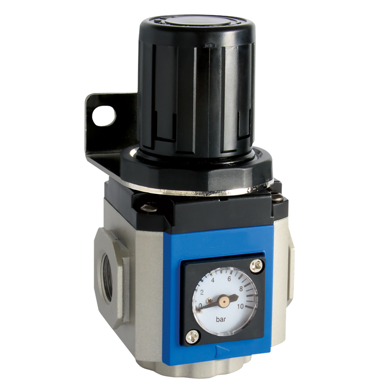 REGULATOR 300 SERIES GAUGE & BRKT