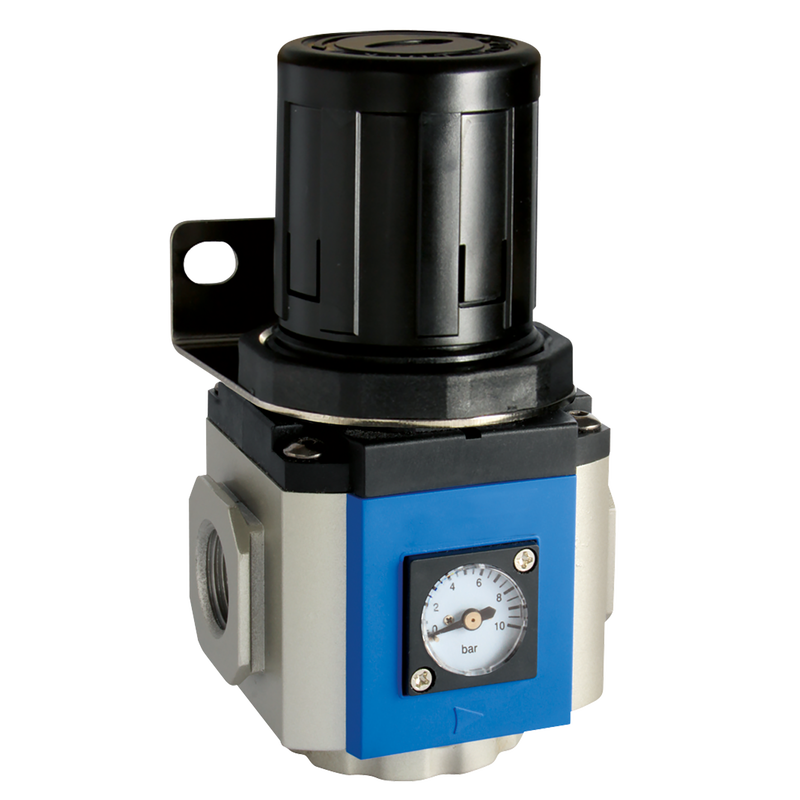 1/2 REGULATOR 400 SERIES GAUGE & BRKT