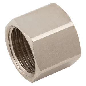 1   BSP FEM BRASS BLANKCAP PLATED