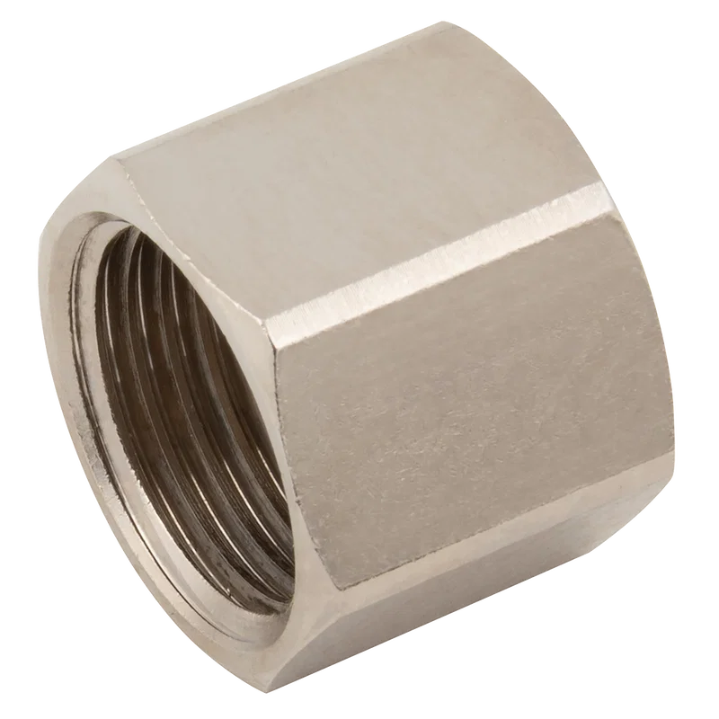 1   BSP FEM BRASS BLANKCAP PLATED