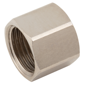 1   BSP FEM BRASS BLANKCAP PLATED
