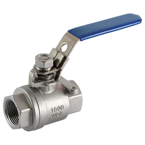 BSP FEM BALL VALVE 316 2-PIECE